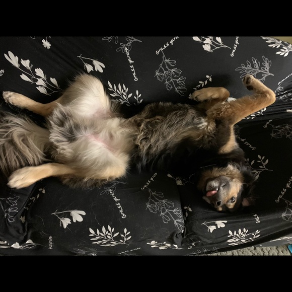 Profile Picture of Kaitlynn Cerone (@kaitlynn995) on Poshmark