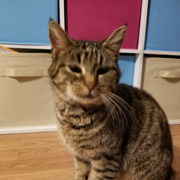 Profile Picture of Joefrenne San antonio (@js2812) on Poshmark