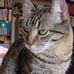 Profile Picture of Mark Freeland (@mark.freeland.921) on Facebook
