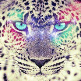 Profile Picture of Randall Yuan Li (@Jianfan321) on Twitter