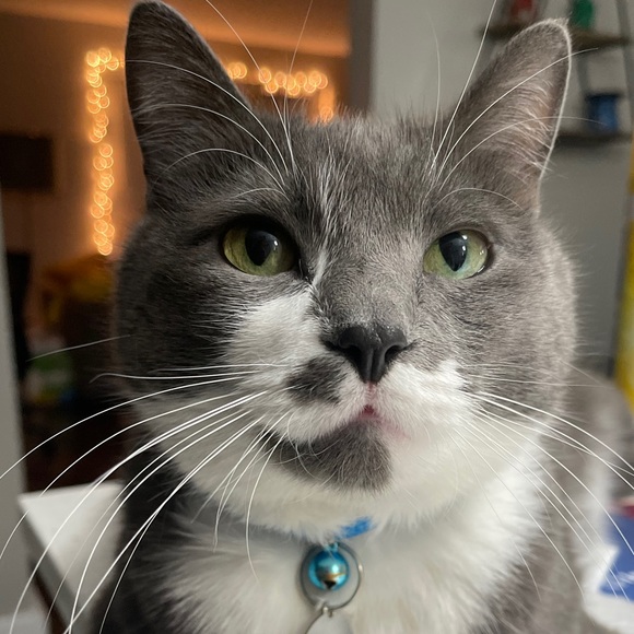 Profile Picture of Amanda Jolly (@amandajolly1220) on Poshmark