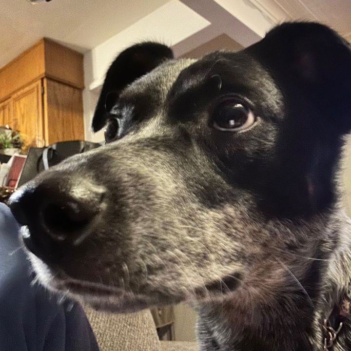 Profile Picture of RC (@chudyryan) on Tiktok
