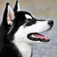 Profile Picture of Carson Copeland (@carson-copeland-8) on Quora