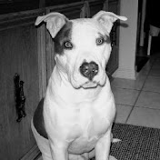 Profile Picture of Paul Lazzaro (@paullazzaro7808) on Youtube