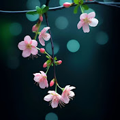 Profile Picture of Beth Olson (@BethOlson-mt7qb) on Youtube