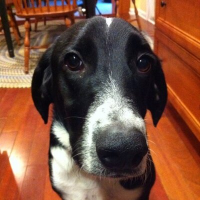 Profile Picture of Bonnie Keen (@bkeen1) on Twitter