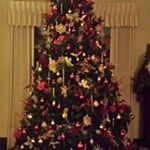 Profile Picture of Earl Summers (@earl.summers.752) on Instagram