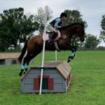 Profile Picture of stella morrison-eaton (@srk.eventing) on Instagram