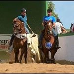 Profile Picture of Fernando Calixto (@fernando.calixto.7528) on Instagram
