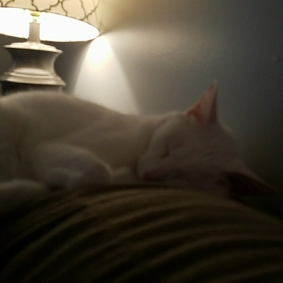 Profile Picture of Brittany Luke (@beluke14) on Poshmark