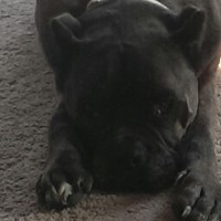 Profile Picture of Nathan Harned (@nathan-harned) on Quora