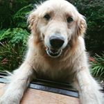 Profile Picture of Kenji Arima (@kenji.arima) on Instagram