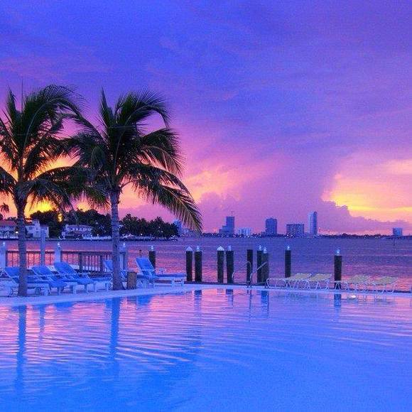 Sam Marotta - Poshmark Profile Picture of Sam Marotta (@sammarotta) on Poshmark