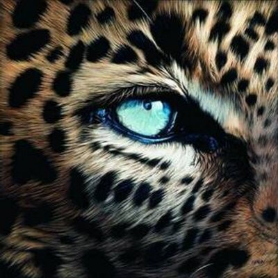 Profile Picture of Praxot (@DavidPratsGarca) on Twitter