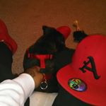 Profile Picture of Jeff Smalls (@lil_bash_gatez_) on Instagram