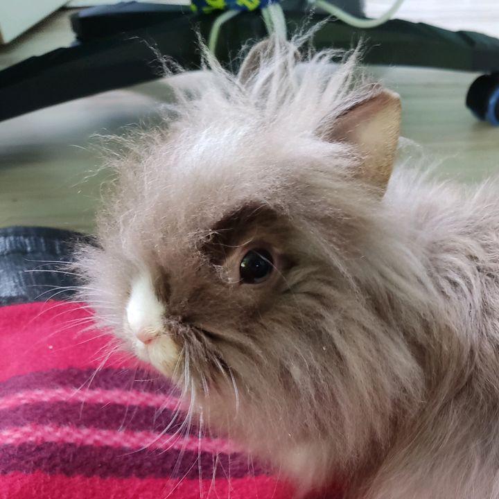 Płaski - Tiktok Profile Picture of Płaski (@janplaski) on Tiktok