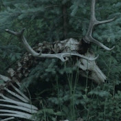 Profile Picture of Jonathan Holland (@jonathanholland1587) on Youtube