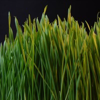 Profile Picture of Alex Grzybowski (@alex-grzybowski-1) on Quora