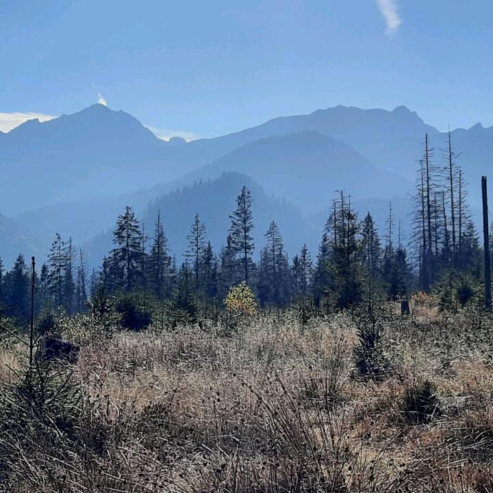 Profile Picture of adamrusin933. (@adamrusin933) on Tiktok