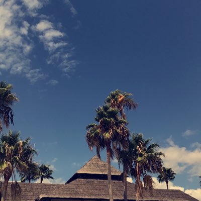 Profile Picture of Sarah AlSaad (@SM_AlSaad) on Twitter