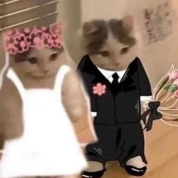 Profile Picture of Lizzie Hatchell (@lizziehatchell) on Poshmark