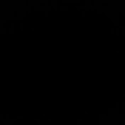 Profile Picture of Robert Seaborg (@robertseaborg5395) on Youtube