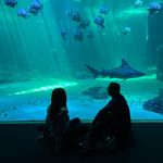 Profile Picture of Chérine Makssoud Obeid (@makssoud_cherine) on Instagram