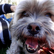 Profile Picture of Eric Blair (@westbrookphila36) on Youtube