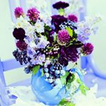 Profile Picture of Актуре Джандосова (@akturedzhandosova) on Instagram