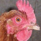 Profile Picture of Tony Exposito (@tonyexposito) on Instagram