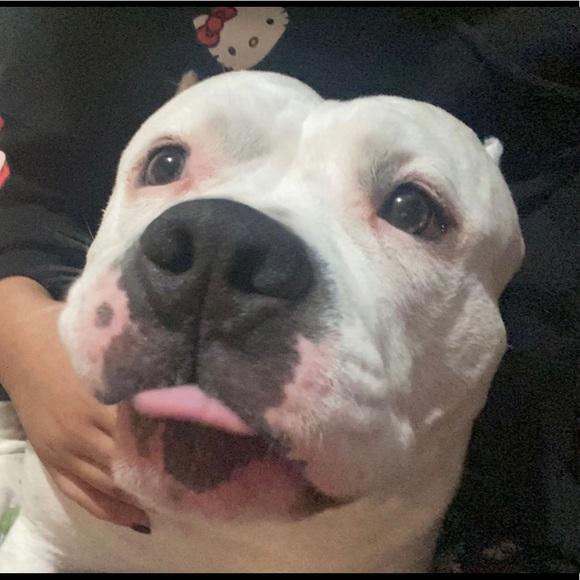 Profile Picture of Alexa Ortiz (@alexao217) on Poshmark