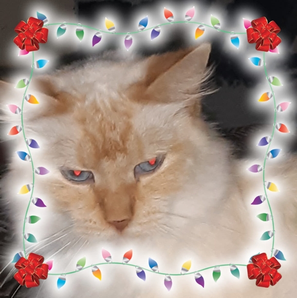 Profile Picture of John Jokela (@jokelajohn2696) on Poshmark