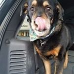 Profile Picture of Stephen Pinto (@steve.ems) on Instagram