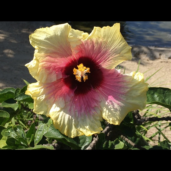 Profile Picture of H Evans (@hevans397) on Poshmark