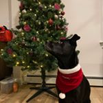 Profile Picture of Jinyi Kim (@jinyi0927) on Instagram