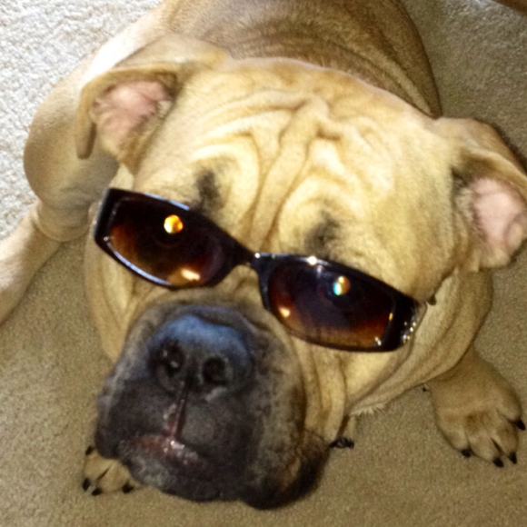 Profile Picture of Denise Werkman (@denisewerkman) on Poshmark