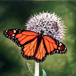 Profile Picture of Jeff Haase (@haase_art) on Instagram