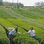 Profile Picture of Florence Lai (@florencelai4202) on Instagram