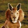 Profile Picture of Daryl May (@daryl3207) on Pinterest