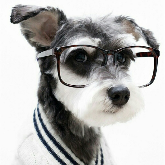 Profile Picture of Ginger Rodriguez (@moodygourmet) on Poshmark