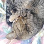 Profile Picture of Daniel Herrera Neira (@kenji_arima_kun) on Instagram