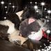 Profile Picture of Janis Drisko (@janis.drisko) on Facebook