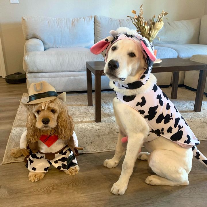 Joseph Mortillaro - Tiktok Profile Picture of Joseph Mortillaro (@jmortillaro) on Tiktok