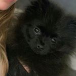 Profile Picture of Lulú Jimenez Homs✌🏼 (@lulu.jh13) on Instagram