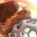 Profile Picture of Jeff McDermott (@jeffmcdermott31) on Pinterest