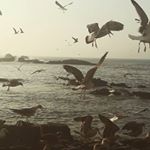 Profile Picture of Jesse AH (@feast.on.freedom) on Instagram