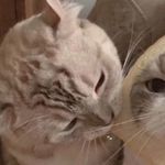 Profile Picture of Chris (@fuck_i_laura) on Instagram