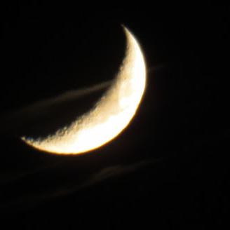 Profile Picture of Myrna U  ⭐ (@felix_myrna) on Twitter