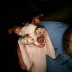 Profile Picture of Jason Conley (@jdconley84) on Instagram