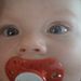 Profile Picture of Susan Weimer (@sueweimer) on Pinterest